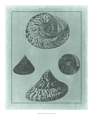 Spa Shell Collection II by Vision Studio art print