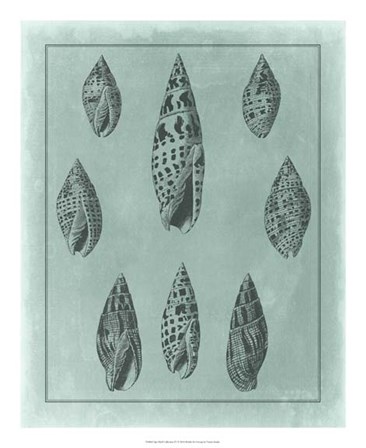 Spa Shell Collection IV by Vision Studio art print
