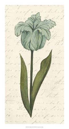 Twin Tulips VI by Grace Popp art print