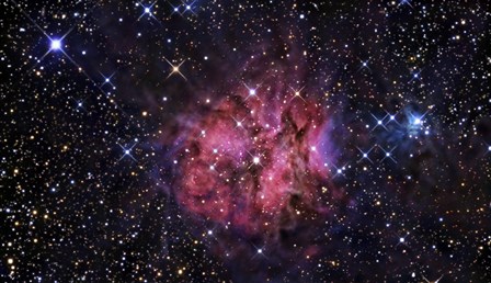 The Cocoon Nebula by R Jay GaBany/Stocktrek Images art print