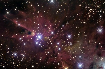The Cone Nebula and Christmas Tree Cluster by R Jay GaBany/Stocktrek Images art print