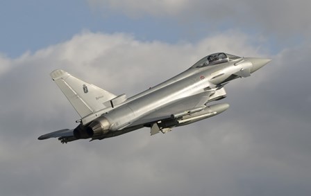 Eurofighter 2000 Typhoon of the Italian Air Force by Giovanni Colla/Stocktrek Images art print
