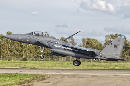 F-15E Strike Eagle, Decimomannu Air Base, Italy by Giovanni Colla/Stocktrek Images art print