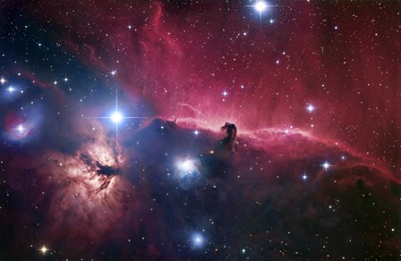 The Horsehead Nebula by Robert Gendler/Stocktrek Images art print