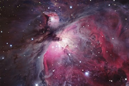 Orion Nebula (close-uo) by Robert Gendler/Stocktrek Images art print