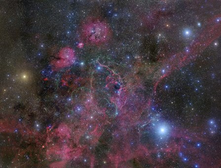 The Vela Supernova Remnant by Robert Gendler/Stocktrek Images art print