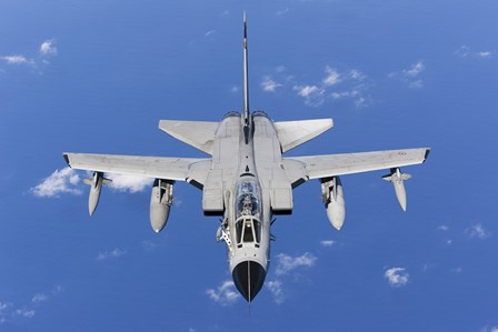 A Panavia Tornado IDS of the Italian Air Force (top view) by Gert Kromhout/Stocktrek Images art print
