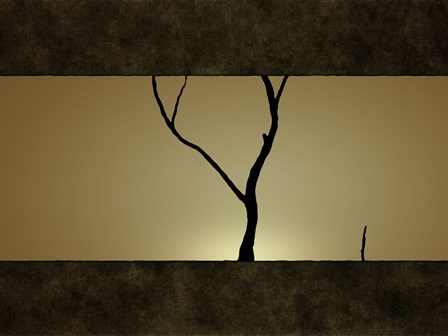 Tree at Sunset by Vlad Gerasimov/Stocktrek Images art print