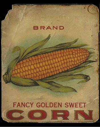 Vintage Corn by Beth Albert art print