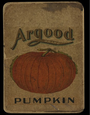 Vintage Pumpkin by Beth Albert art print