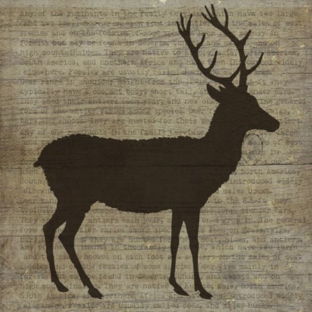 Deer by Beth Albert art print