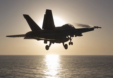 F/A-18F Super Hornet in the Morning Sun over the Arabian Sea by Gert Kromhout/Stocktrek Images art print