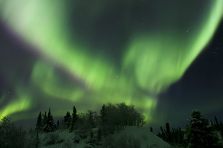 Aurora Borealis Takes Flight by Joseph Bradley/Stocktrek Images art print