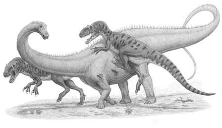 Group of Allosaurus Attack a giant Diplodocus by Heraldo Mussolini/Stocktrek Images art print
