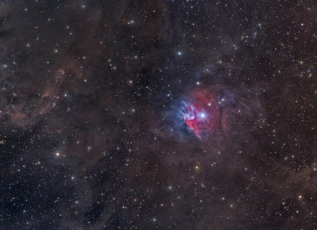 Obscure Nebula in Orion by John Davis/Stocktrek Images art print