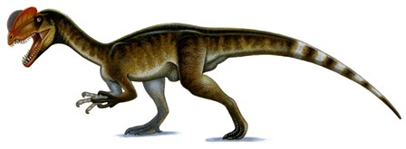 Dilophosaurus Wetherilli by H. Kyoht Luterman/Stocktrek Images art print