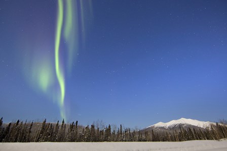 Aurora Borealis near Mayo, Yukon, Canada by Joseph Bradley/Stocktrek Images art print