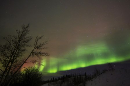 Aurora Borealis, Twin Lakes, Yukon, Canada by Joseph Bradley/Stocktrek Images art print