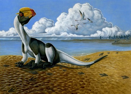 Dilophosaurus on the beach by H. Kyoht Luterman/Stocktrek Images art print