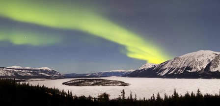Aurora Borealis over Bove Island, Yukon, Canada by Joseph Bradley/Stocktrek Images art print