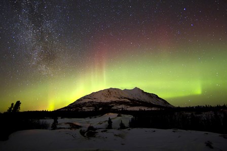 Aurora Borealis and Milky Way over Carcross Desert, Canada by Joseph Bradley/Stocktrek Images art print