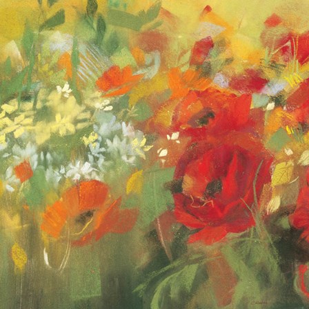 Oriental Poppy Field II by Carol Rowan art print