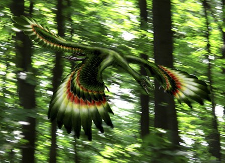 Archaeopteryx flying through a forest by Yuriy Priymak/Stocktrek Images art print