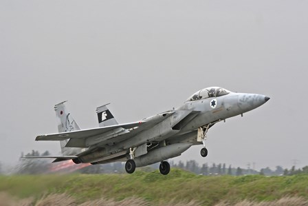 An F-15D Baz of the Israeli Air Force taking off from Tel Nof Air Base by Ofer Zidon/Stocktrek Images art print