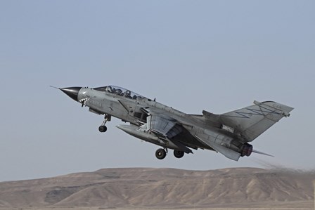 A Panavia Tornado of the Italian Air Force taking off by Ofer Zidon/Stocktrek Images art print
