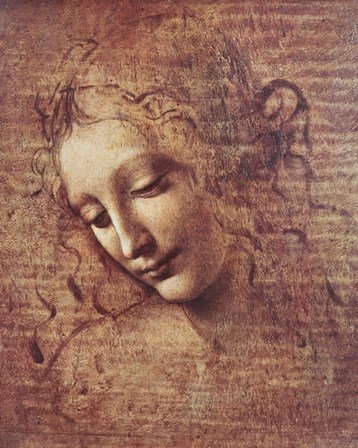 Head of a Young Woman with Tousled Hair by Leonardo Da Vinci art print