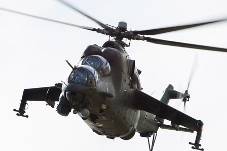 Polish Army Mil Mi-24V Hind in Flight by Timm Ziegenthaler/Stocktrek Images art print