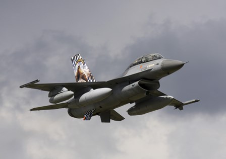 Belgian F-16B taking off by Timm Ziegenthaler/Stocktrek Images art print