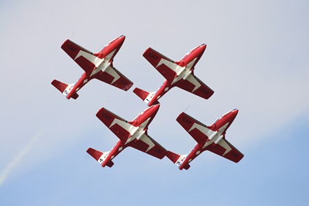 The Snowbirds 43 Squadron of the Royal Canadian Air Force by Terry Moore/Stocktrek Images art print
