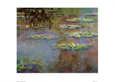 L&#39;tang aux nympheas by Claude Monet art print