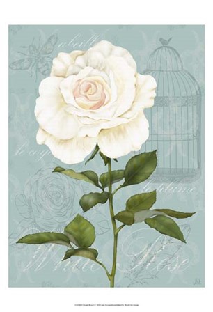 Cream Rose I by Jade Reynolds art print