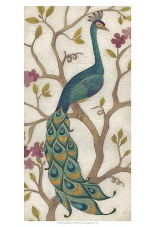 Peacock Fresco I by June Erica Vess art print