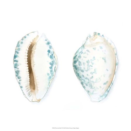 Watercolor Shells VI by Megan Meagher art print