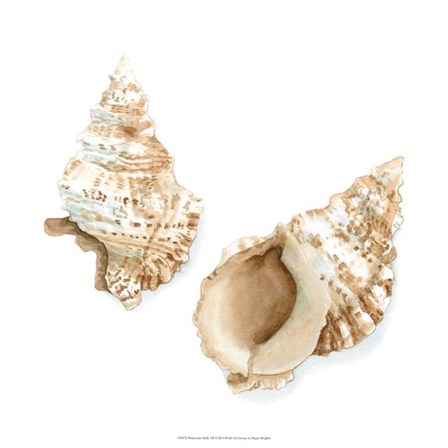 Watercolor Shells VII by Megan Meagher art print