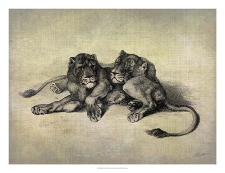 Big Cats III by John Butler art print