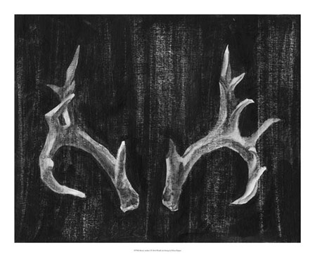 Rustic Antlers I by Ethan Harper art print
