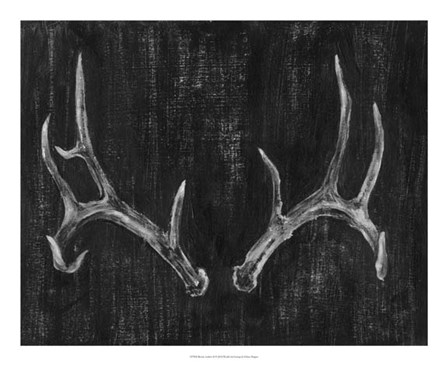 Rustic Antlers II by Ethan Harper art print