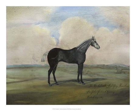 &quot;&quot;The Kicker,&quot;&quot; A Steel Grey Racehorse by Naomi McCavitt art print