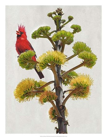 Avian Tropics I by Chris Vest art print