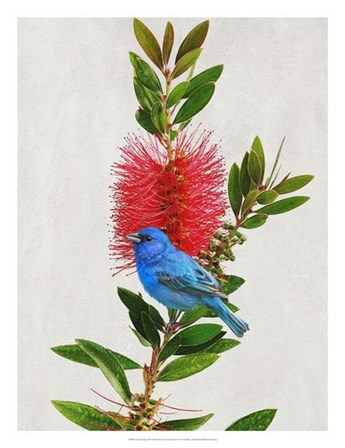 Avian Tropics III by Chris Vest art print