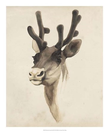 Watercolor Animal Study III by Grace Popp art print