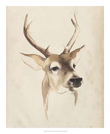 Watercolor Animal Study IV by Grace Popp art print