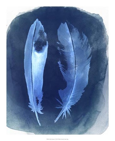Feather Negatives I by Grace Popp art print