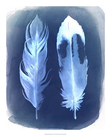Feather Negatives II by Grace Popp art print