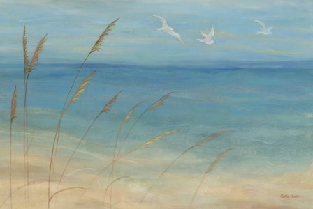Seagrass Seagulls by Cynthia Coulter art print
