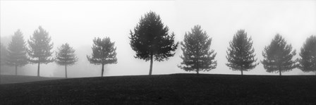 Tree Line by Erin Clark art print